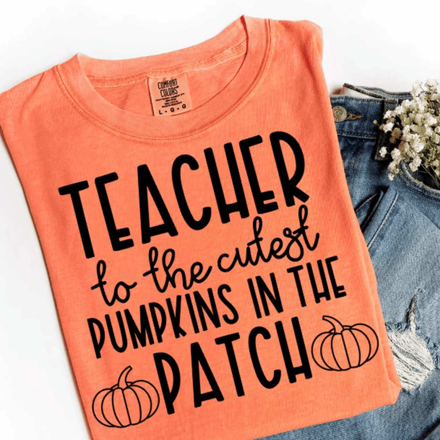 TEACHER TO THE CUTEST PUMPKINS IN THE PATCH