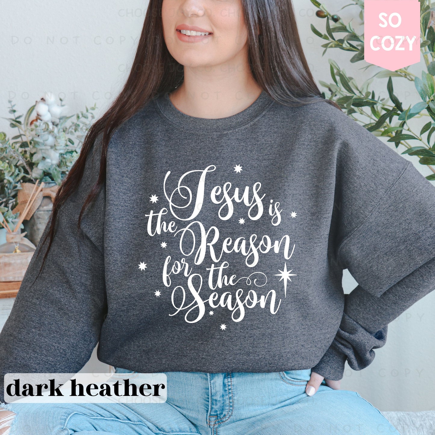 JESUS IS THE REASON SWEATSHIRT