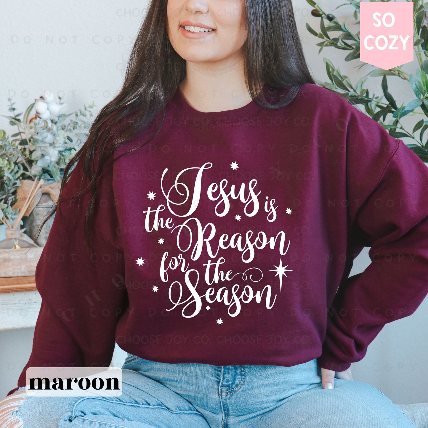 JESUS IS THE REASON SWEATSHIRT