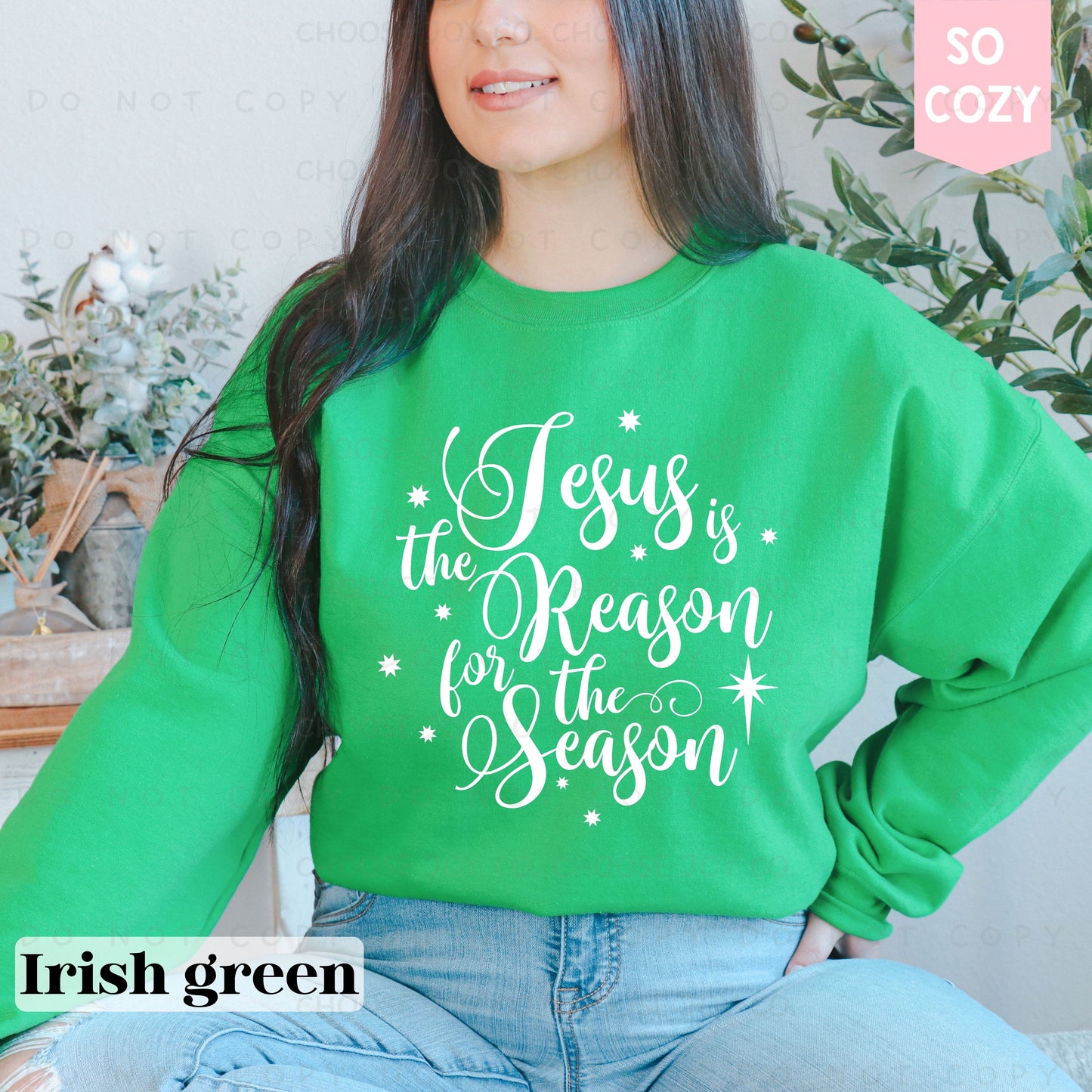 JESUS IS THE REASON SWEATSHIRT