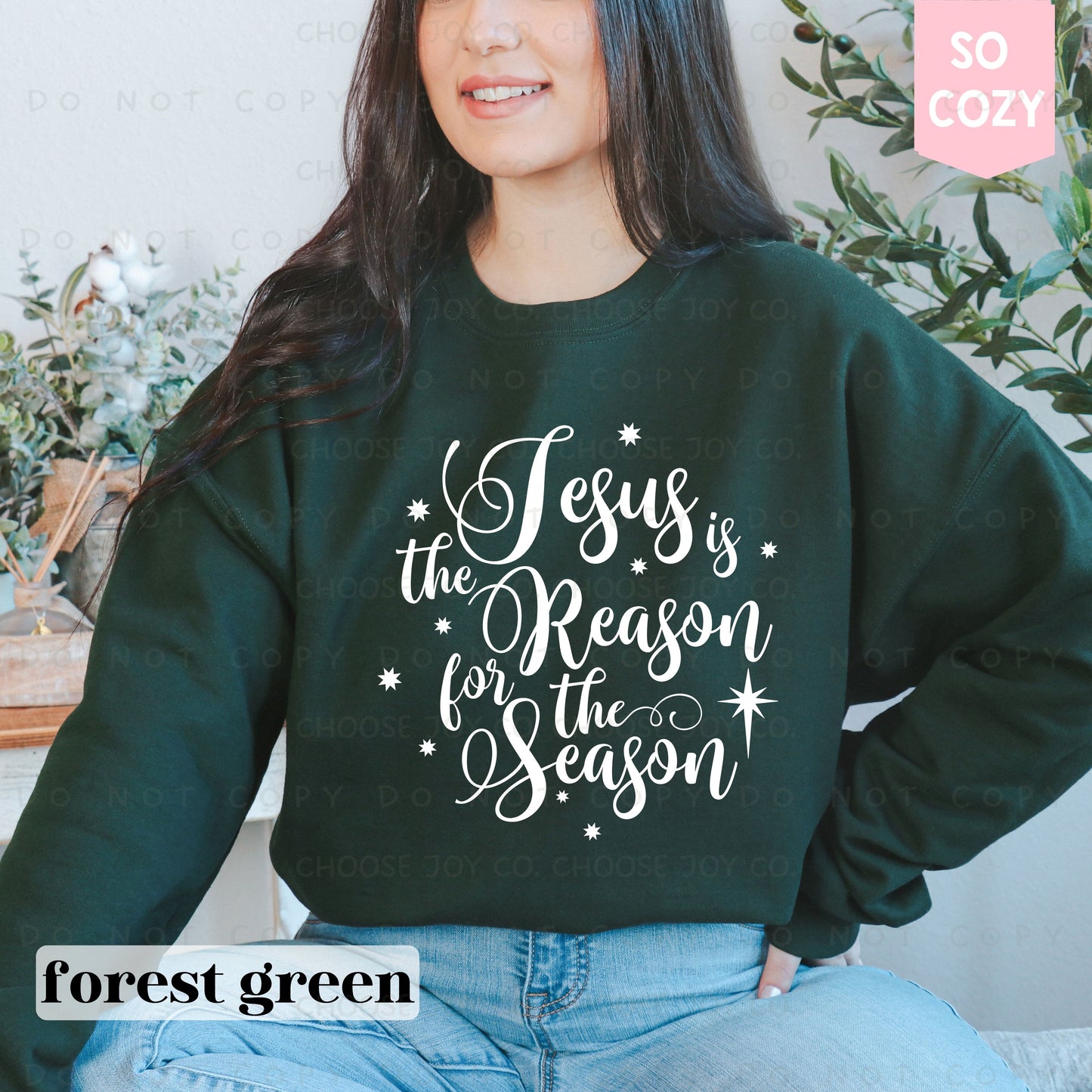 JESUS IS THE REASON SWEATSHIRT