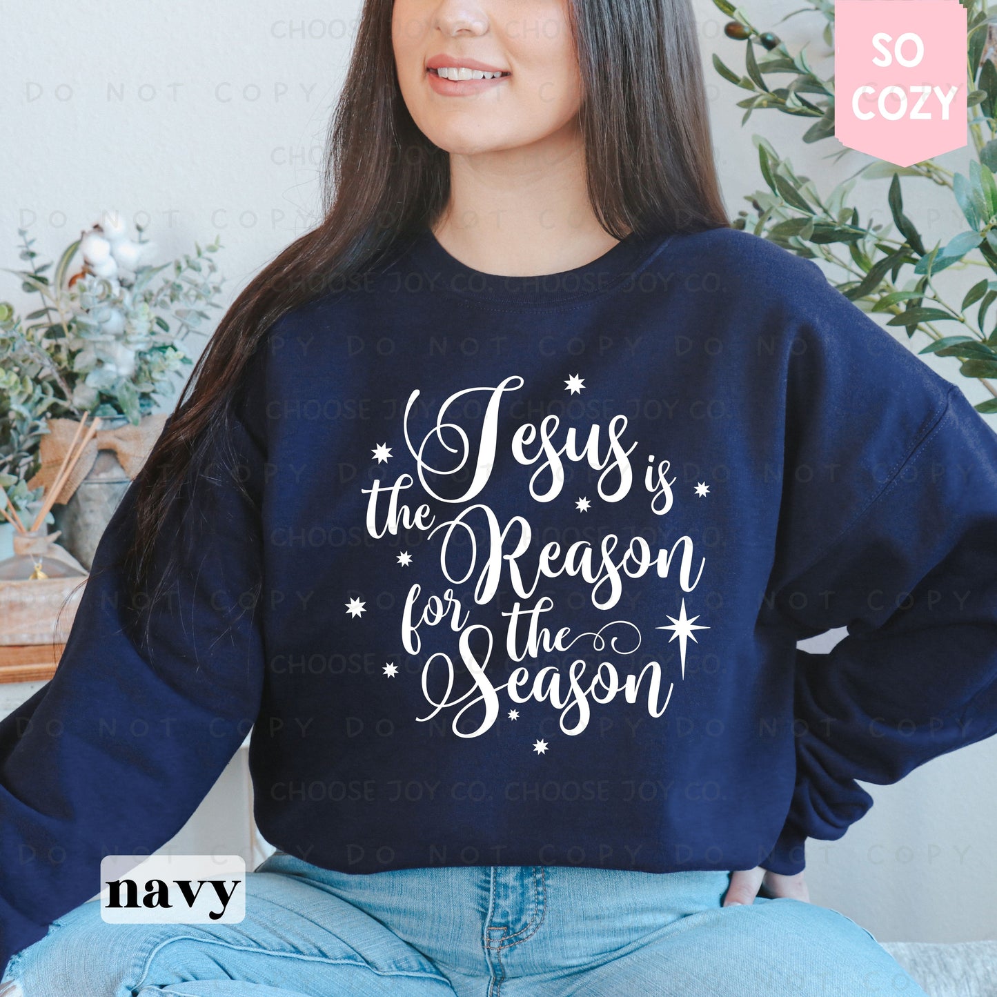 JESUS IS THE REASON SWEATSHIRT