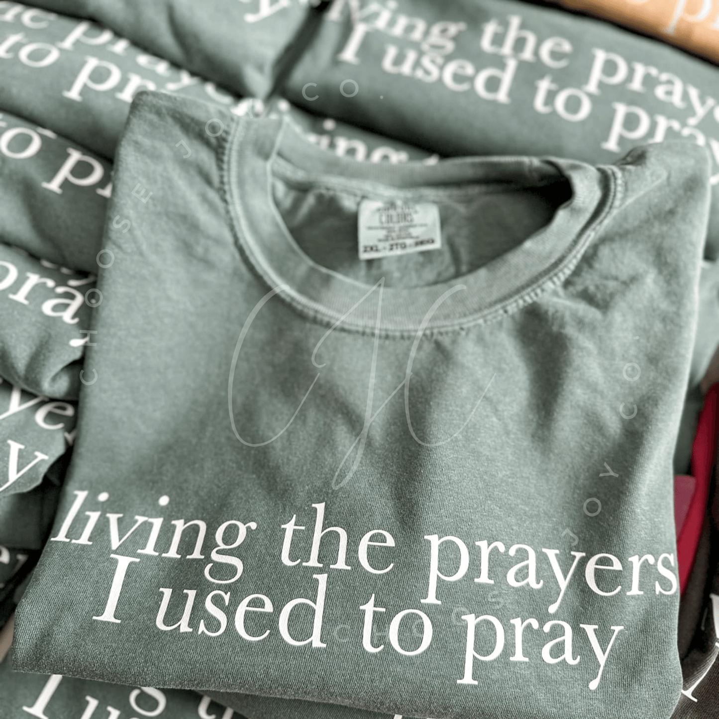 Living the Prayers I Used to Pray Tee