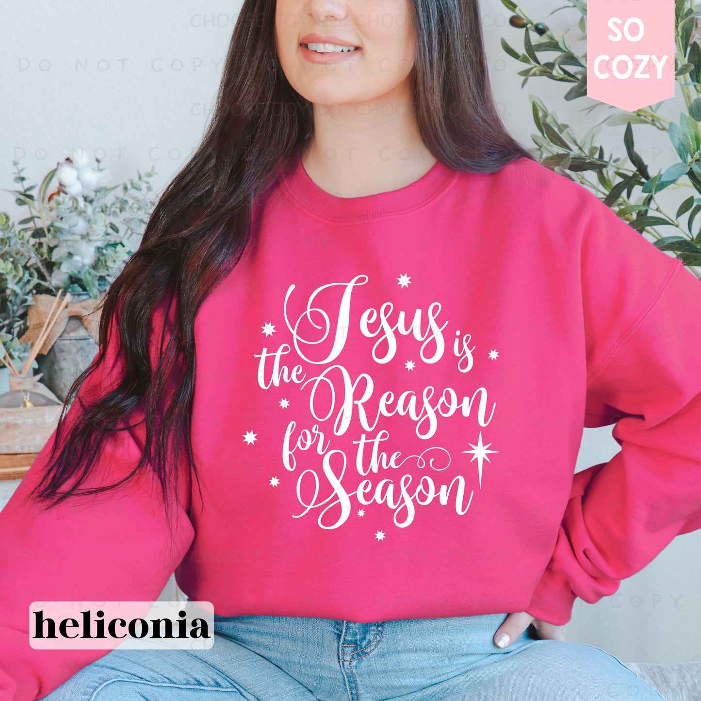 JESUS IS THE REASON SWEATSHIRT